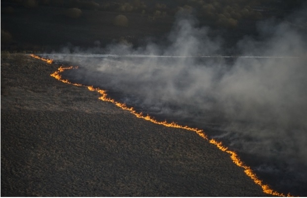 Sursa paginaderusia.ro