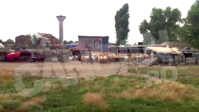 Toate se intampla in Bucuresti, sectorul 5