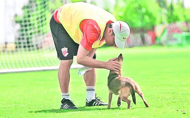 Rednic si unul dintre maidanezii de la Saftica