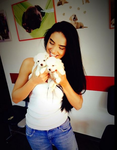 Adelina Pestritu si Speak