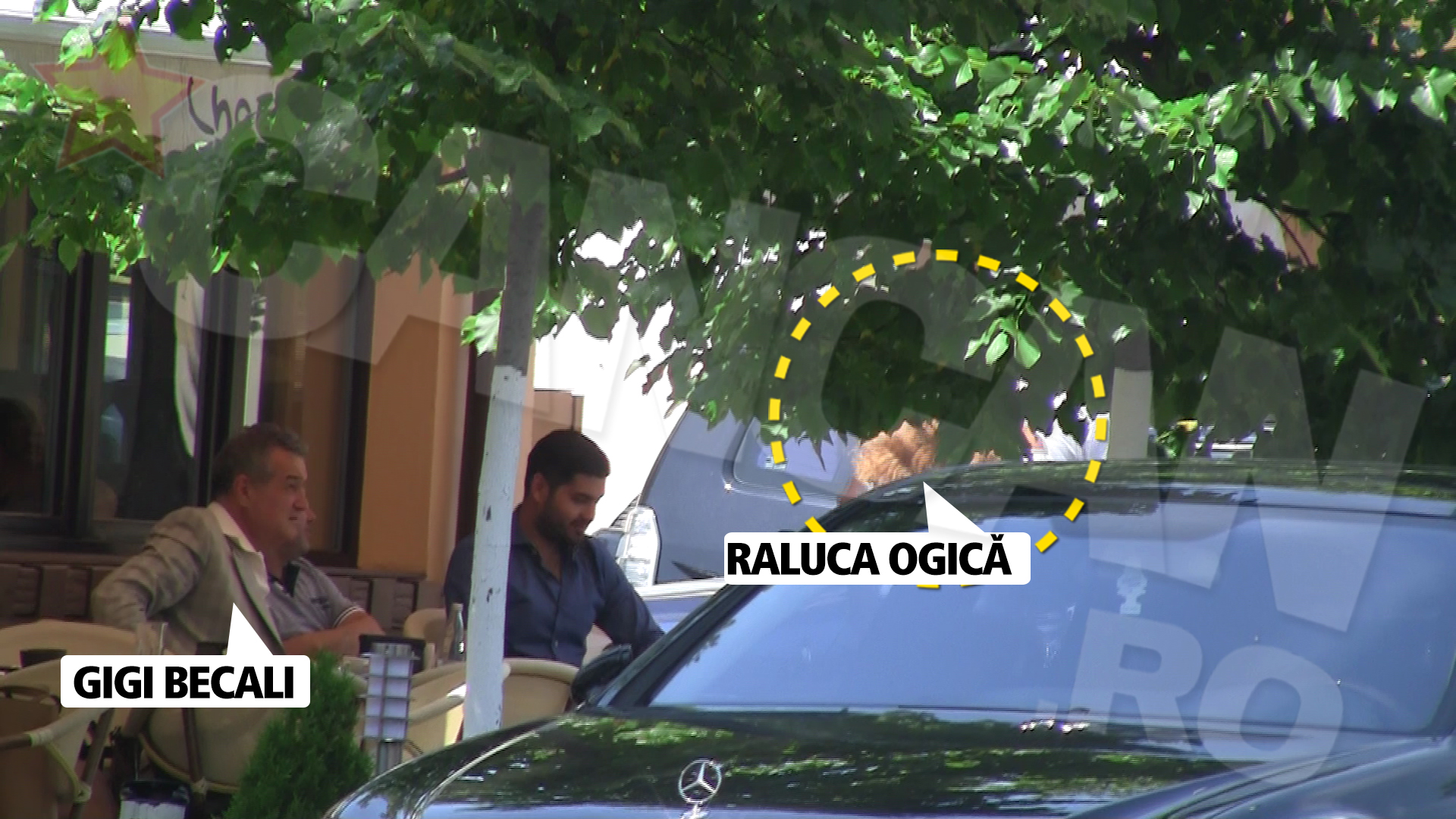 Gigi Becali, cu ochii pe iubita lui Ropotan, Raluca Ogica