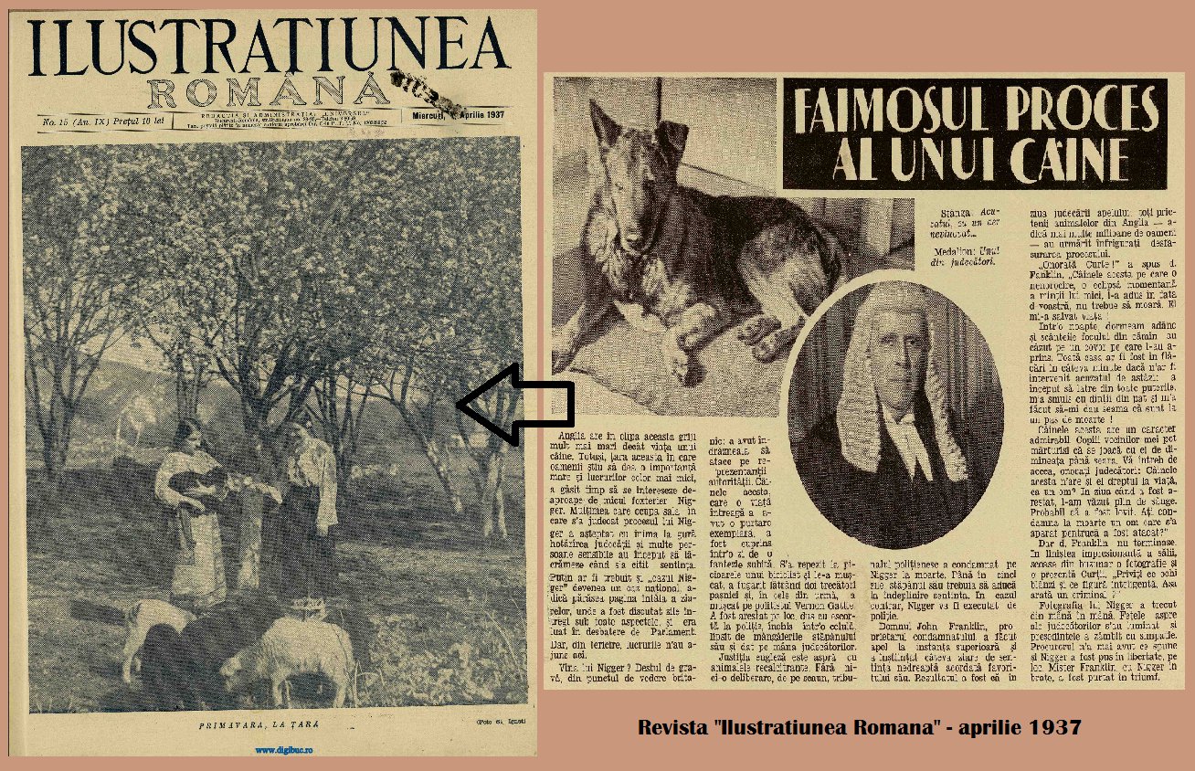 Presa din Romania dedica spatii ample procesului lui Nigger