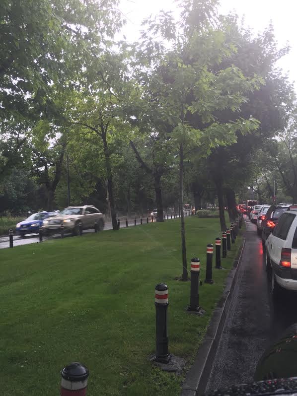 Fie ploaie, fie vant, aspersoarele stropesc