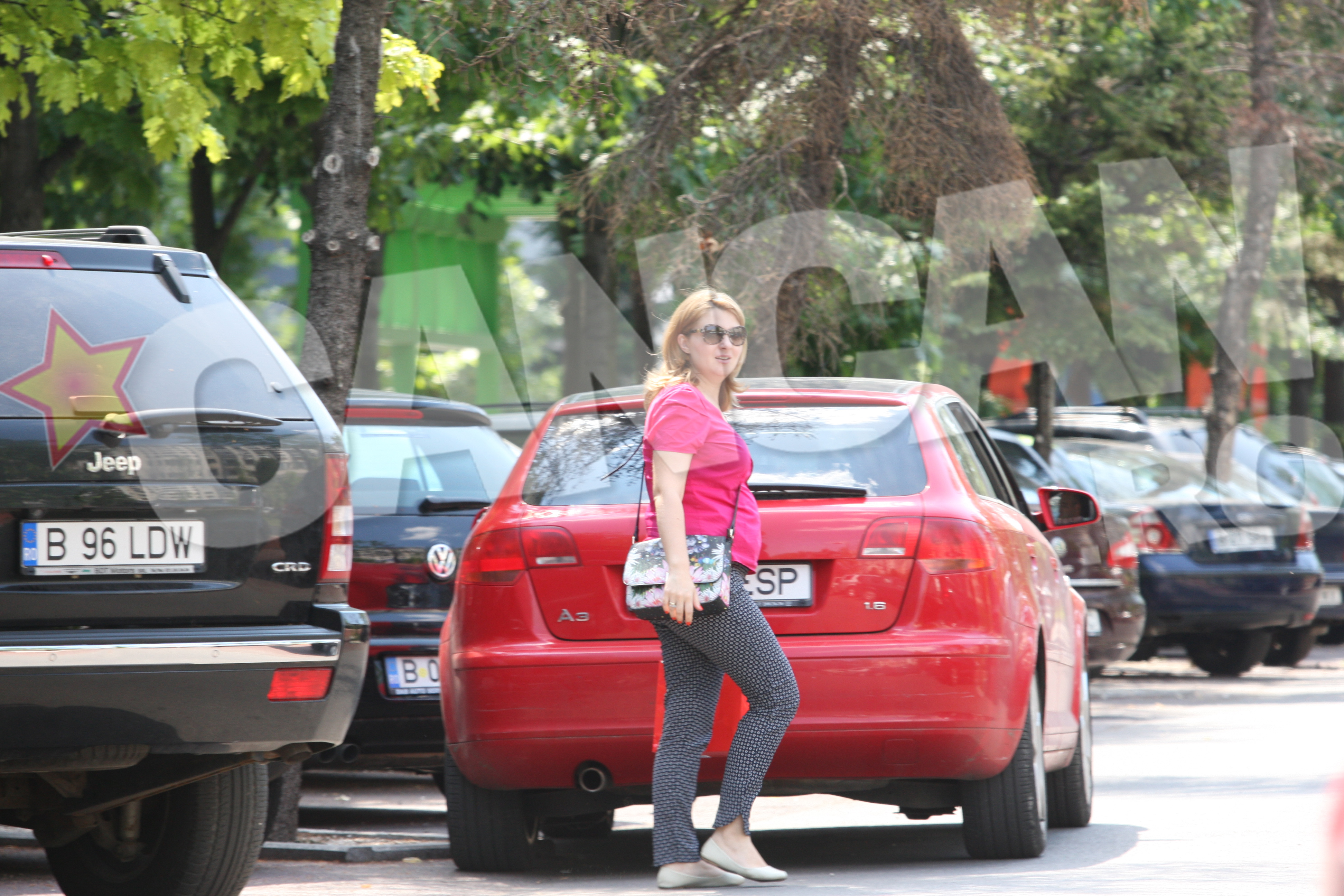 Claudiu Saftoiu si actuala sa sotie, Cristina, care este din nou insarcinata