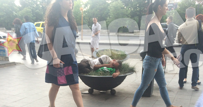 Barbatul a tras un pui de somn intr-un ghiveci