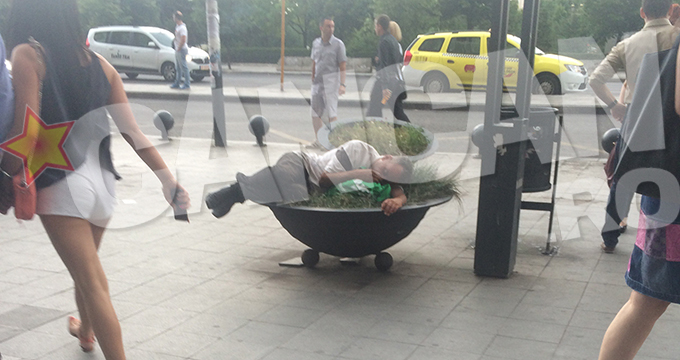 Barbatul a tras un pui de somn intr-un ghiveci