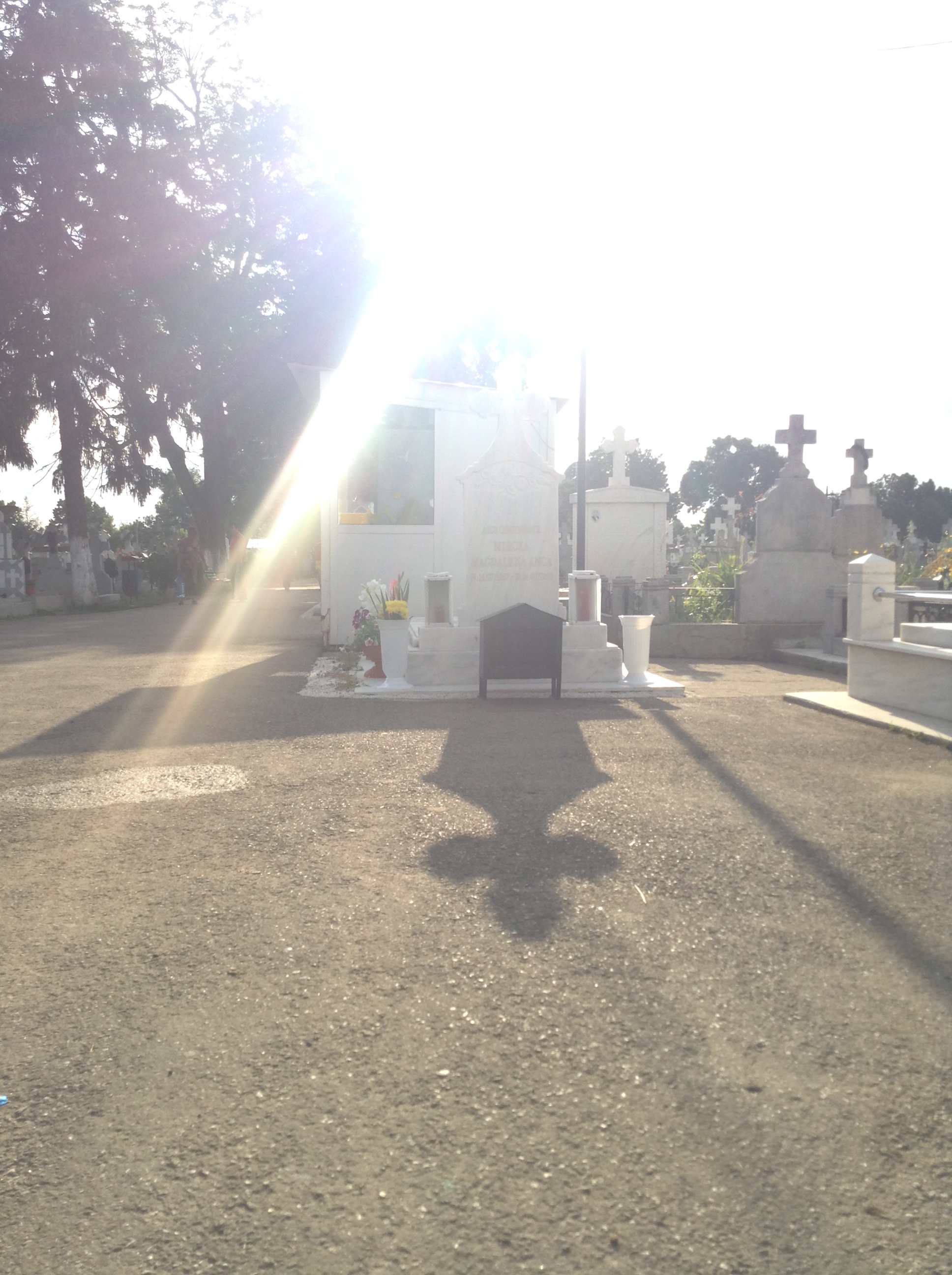 Minune la Madalina Manole la mormant