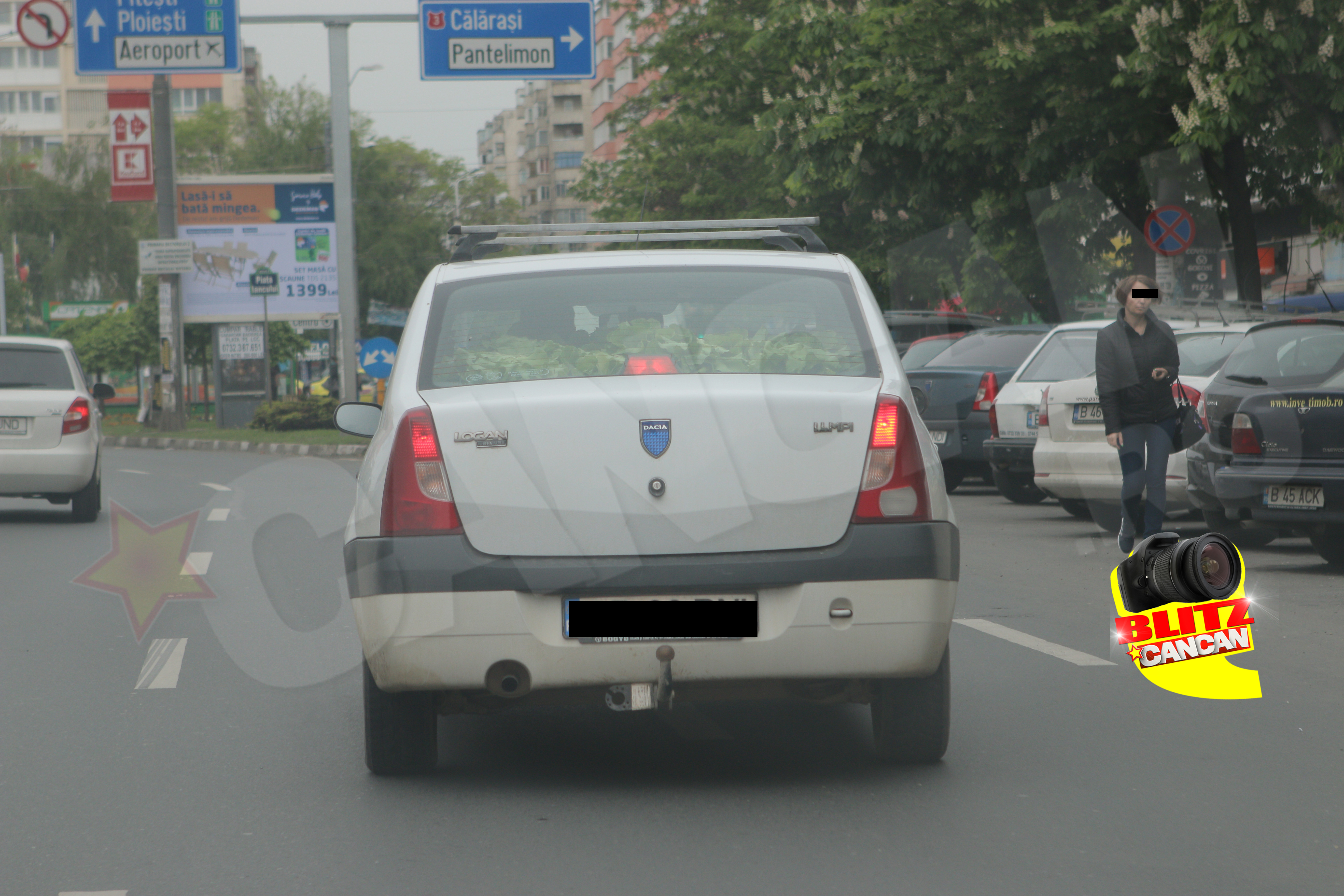 Fotograful Cancan.ro l-a prins in fapt pe cel mai 