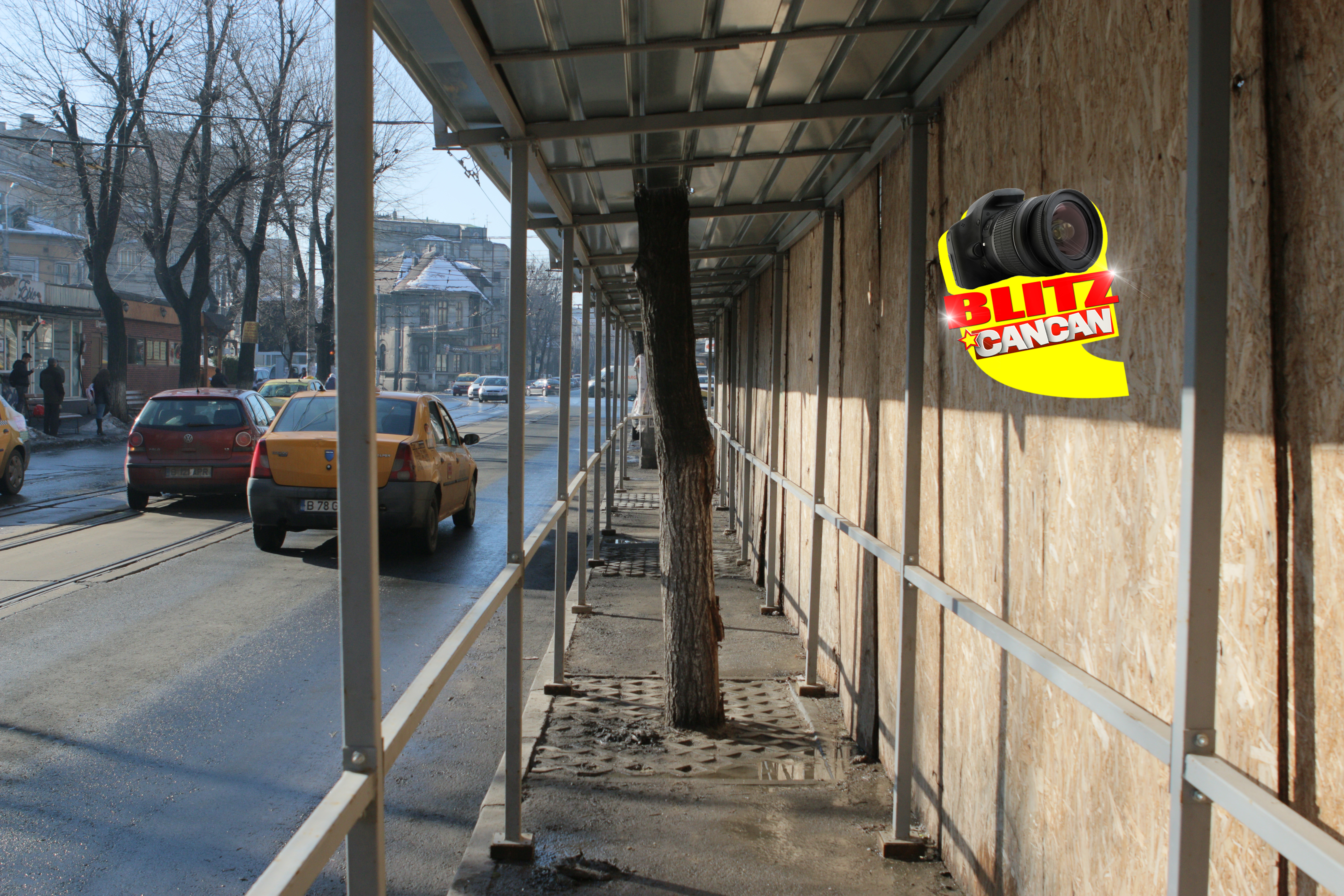 Muncitorii au inclus copacul in lucrarea facuta