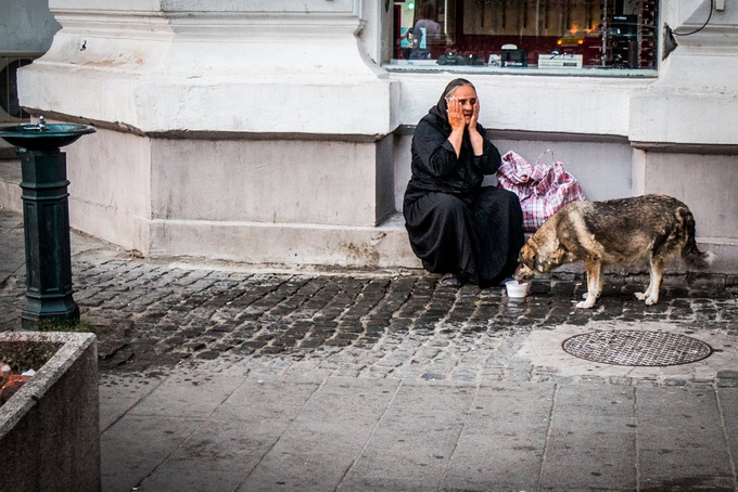 batrana caine bucuresti