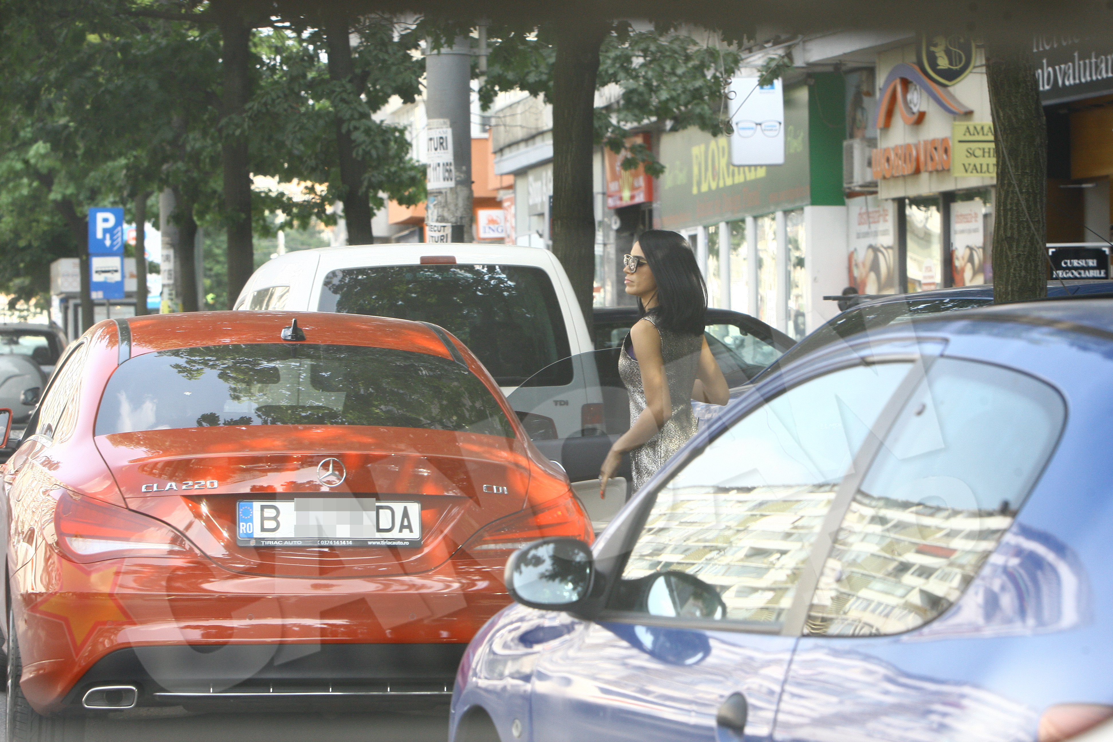 adelina pestritu speak