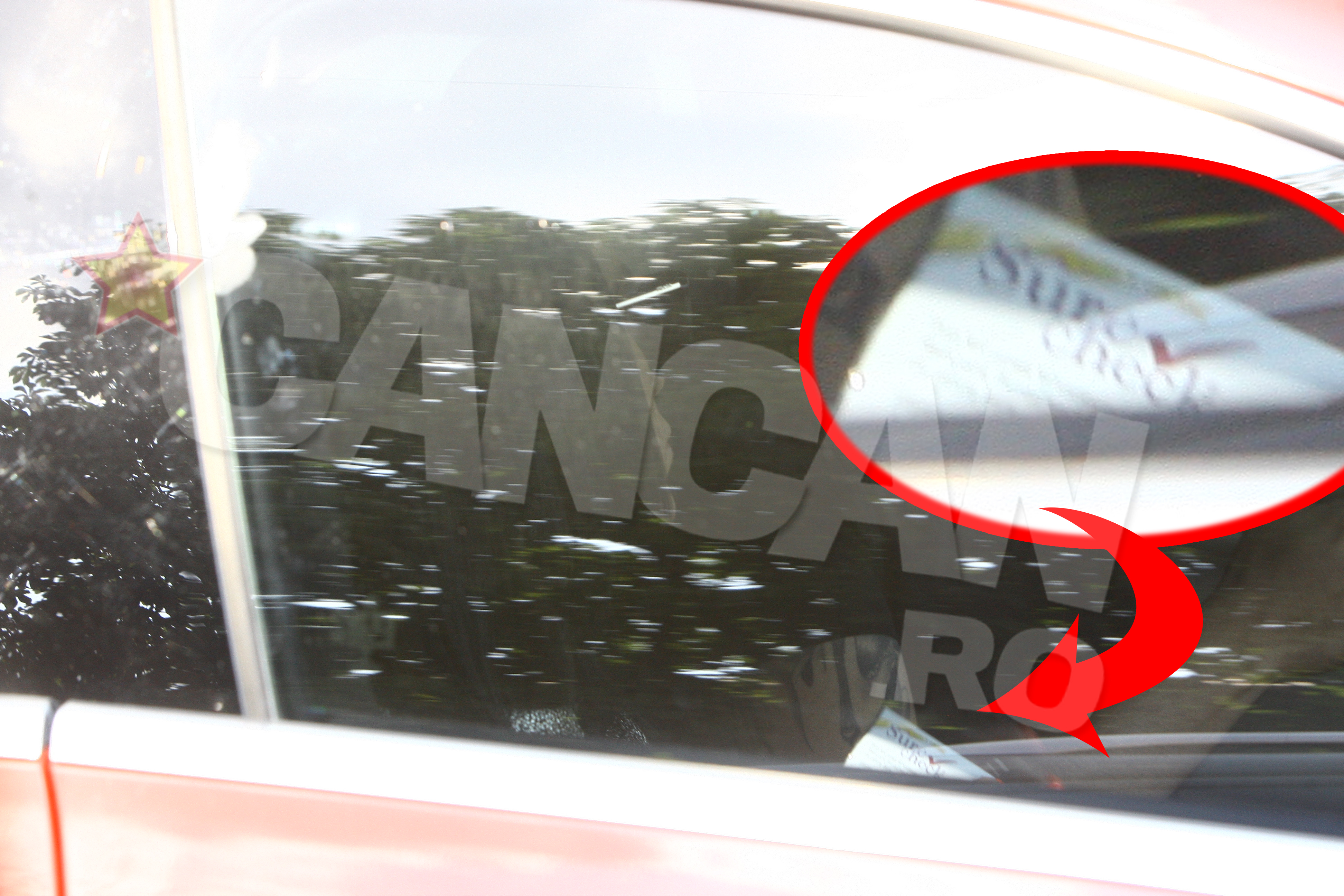 adelina pestritu speak