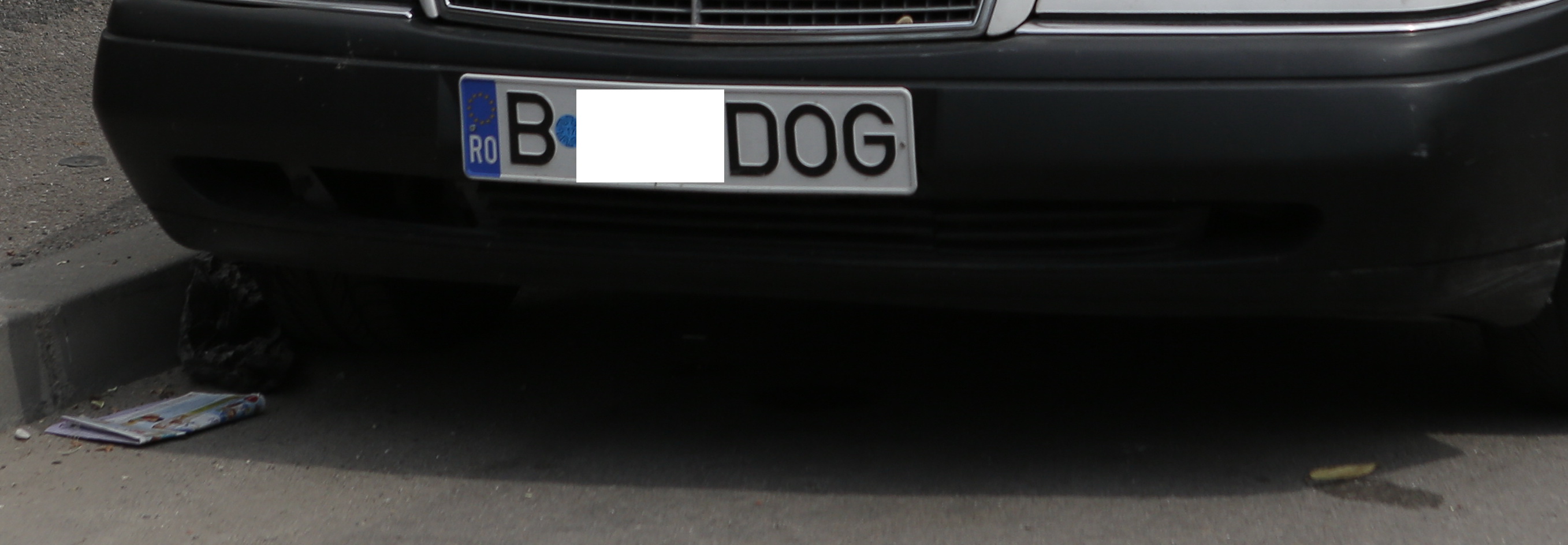 politist ionescu gheorghe