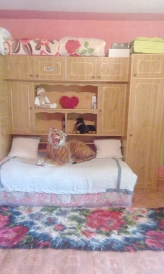 Sexy Morosanca si-a investit banii in mobila