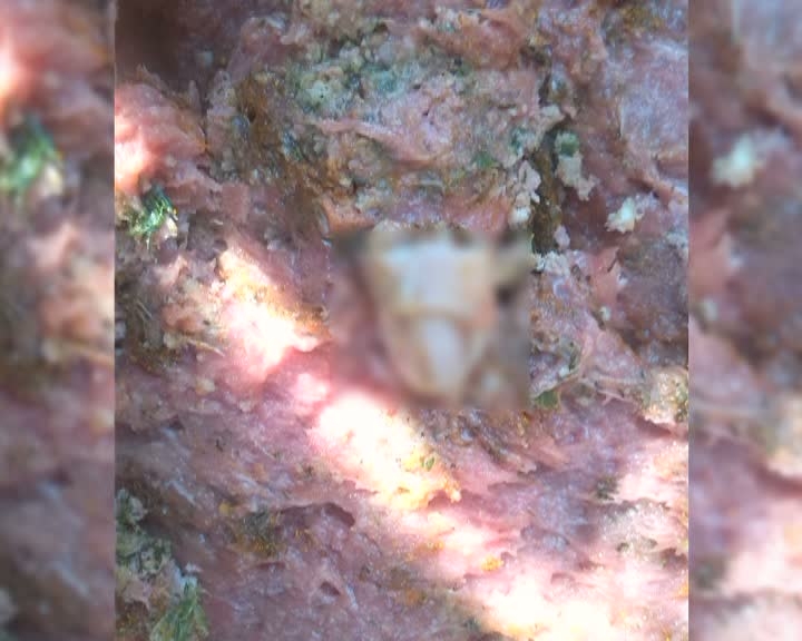 Deget de om gasit intr-o punga de carne tocata