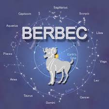 berbec