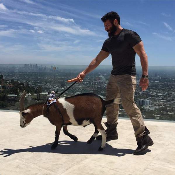 Dan Bilzerian