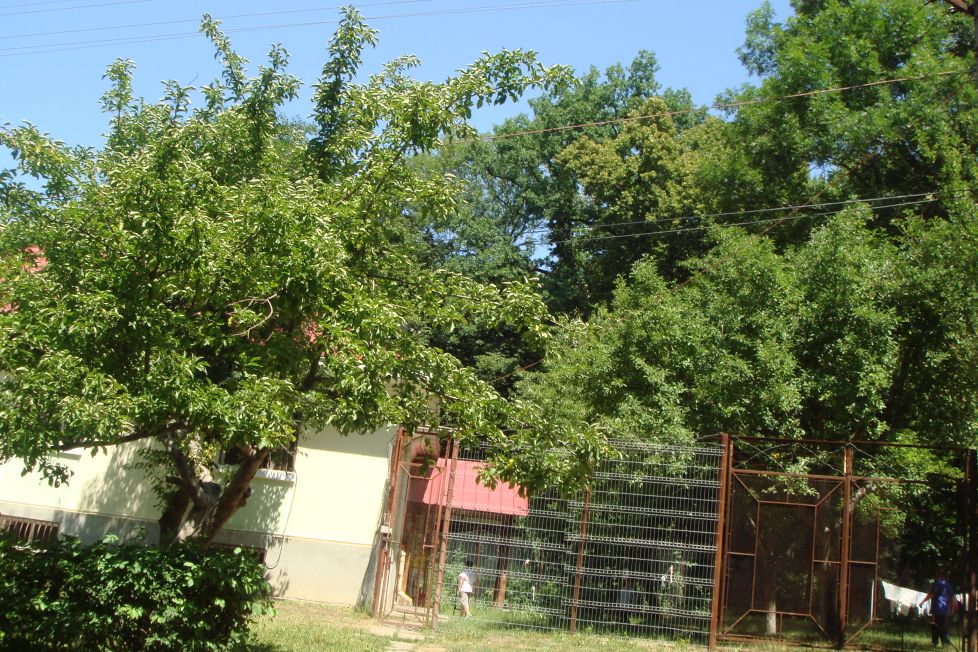 Aici se afla internata acum ucigasa