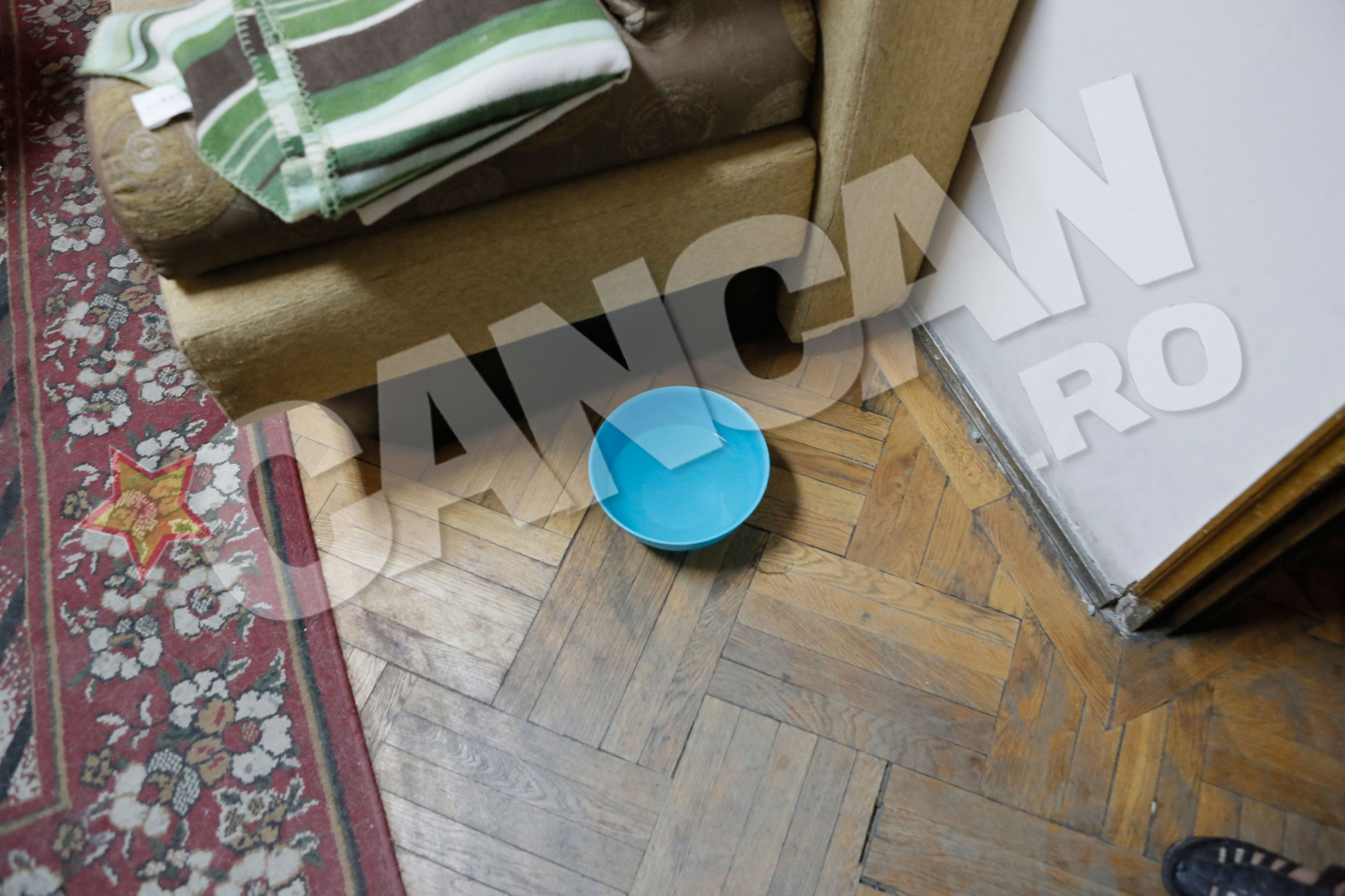 Corneliu Vadim Tudor hranea cainii chiar si in biroul sau