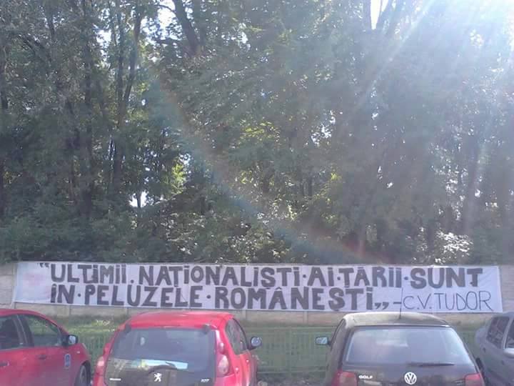 Mesaje stelisti