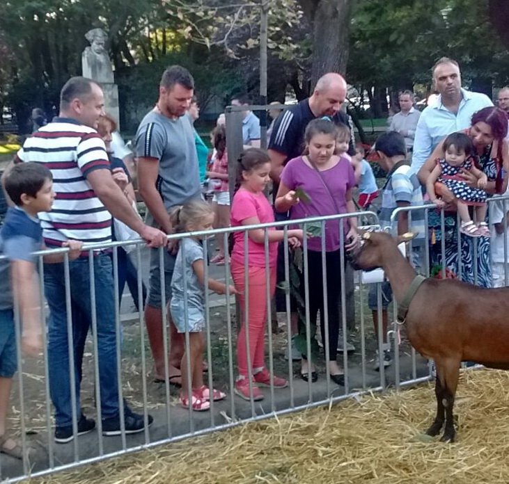 Marius Niculae s-a distrat alaturi de fiica sa