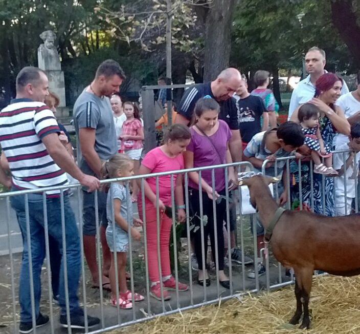 Marius Niculae fiica