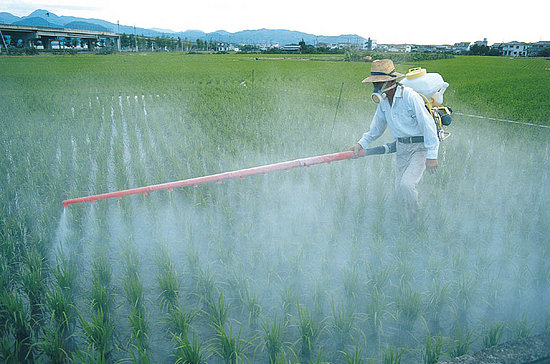 pesticide