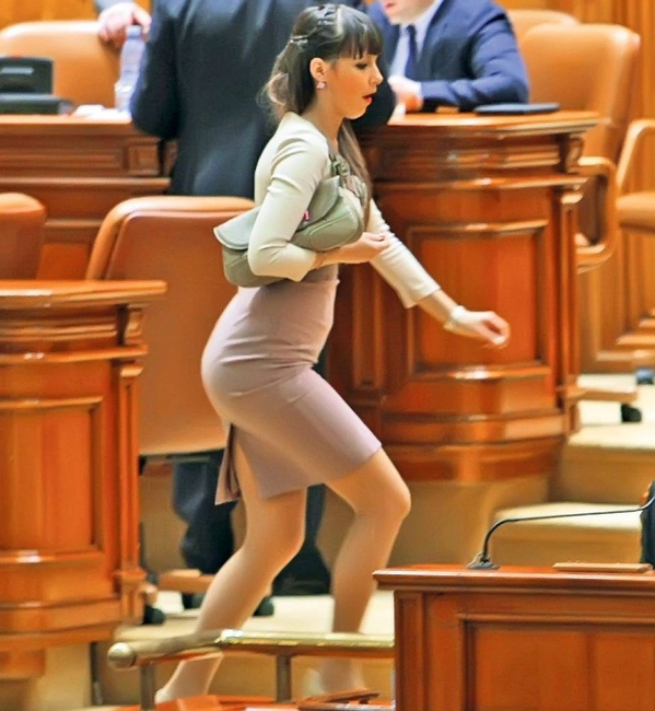 Catalina Stefanescu a avut o cariera fulminanta in politica