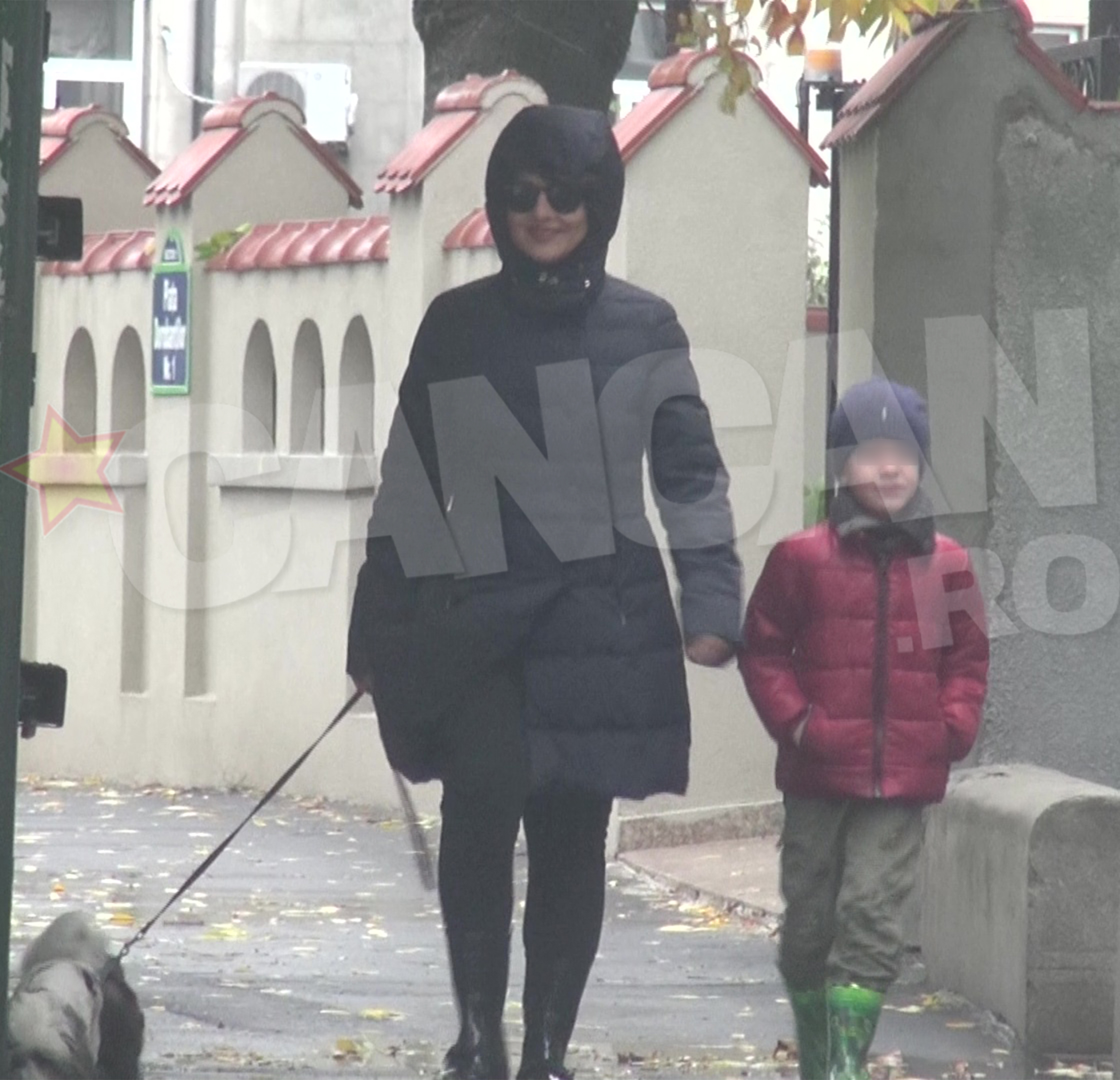 Oana Sarbu si fiul ei au iesit sa plimbe cei doi catei ai familiei