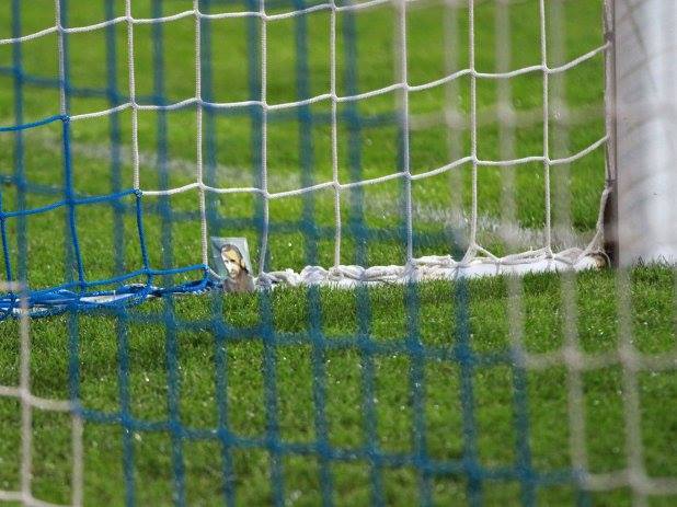 La meciul de la Severin, Popescu si-a sezat iconita cu Arsenie Boca pe plasa laterala a portii sale. Dinamo a castigat cu 3-2