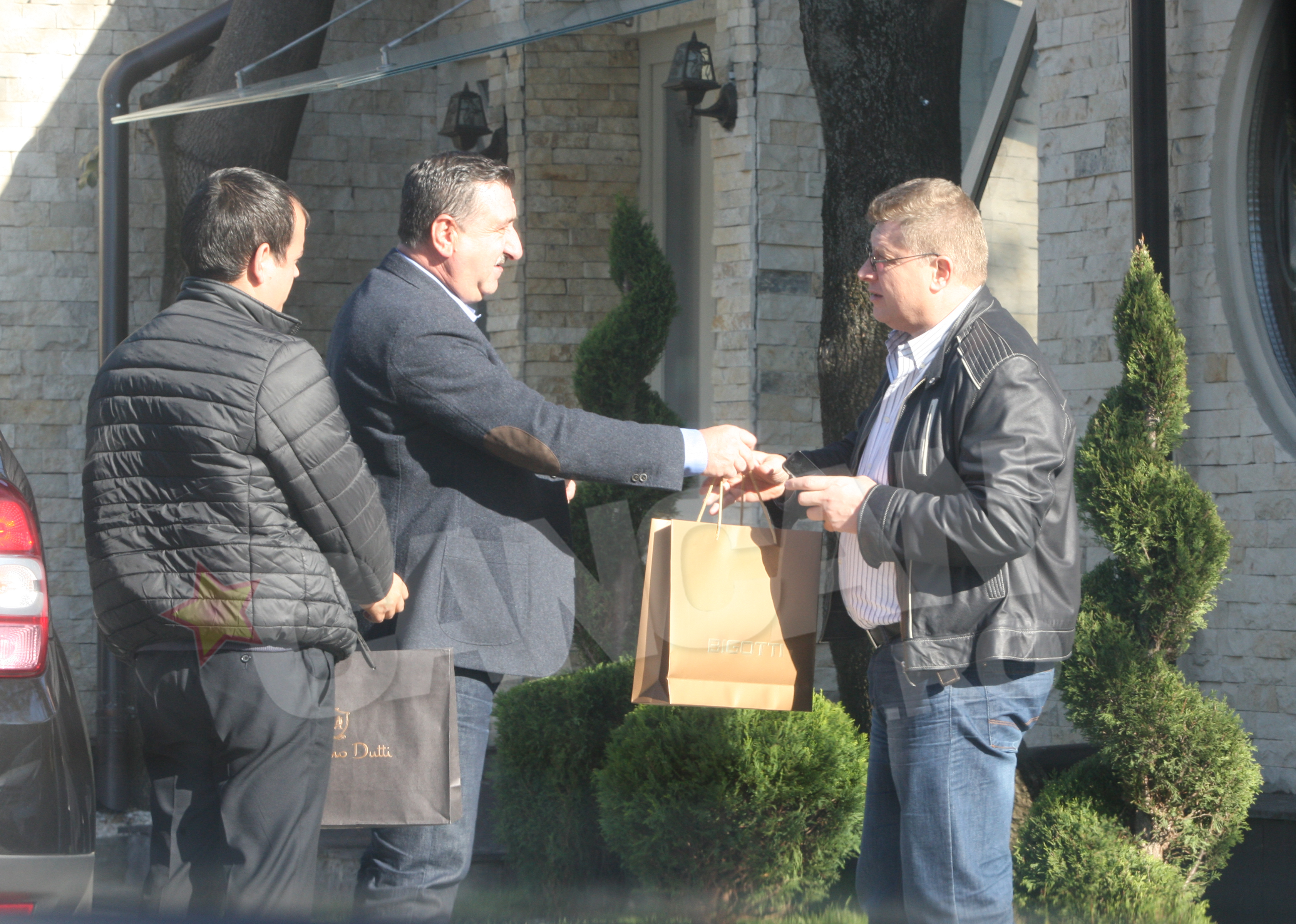 gheorghe boroi nicu vlad