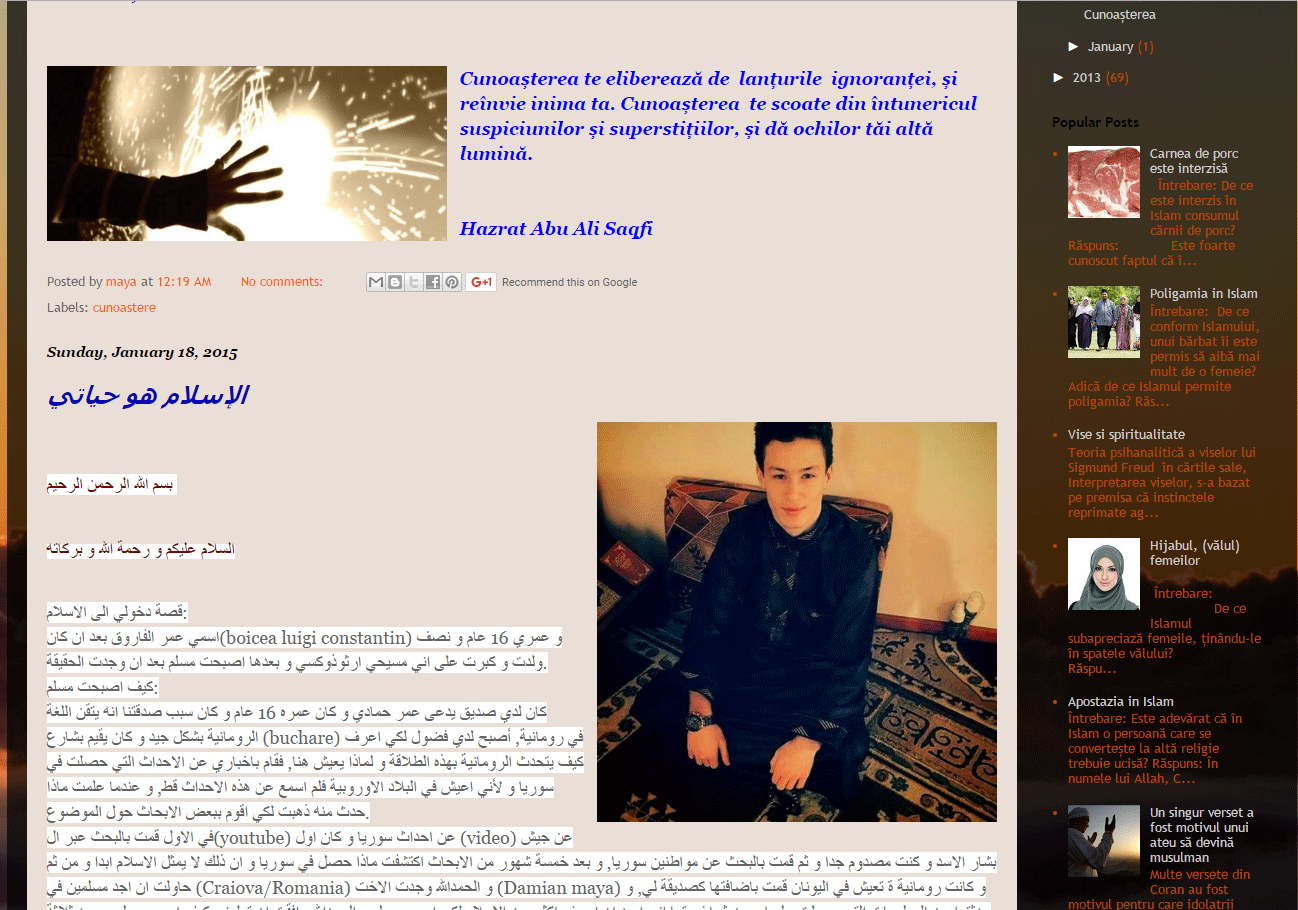 boicea luigi constantin