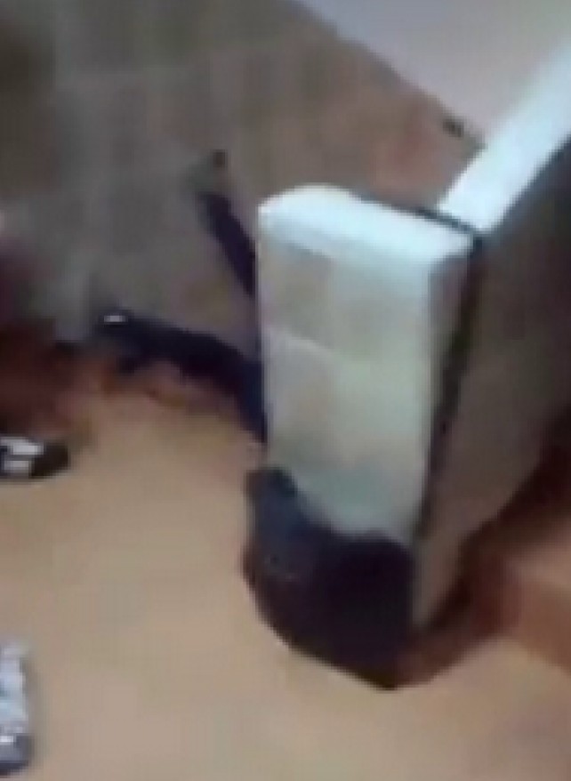 Fata a fost aruncata pe scari