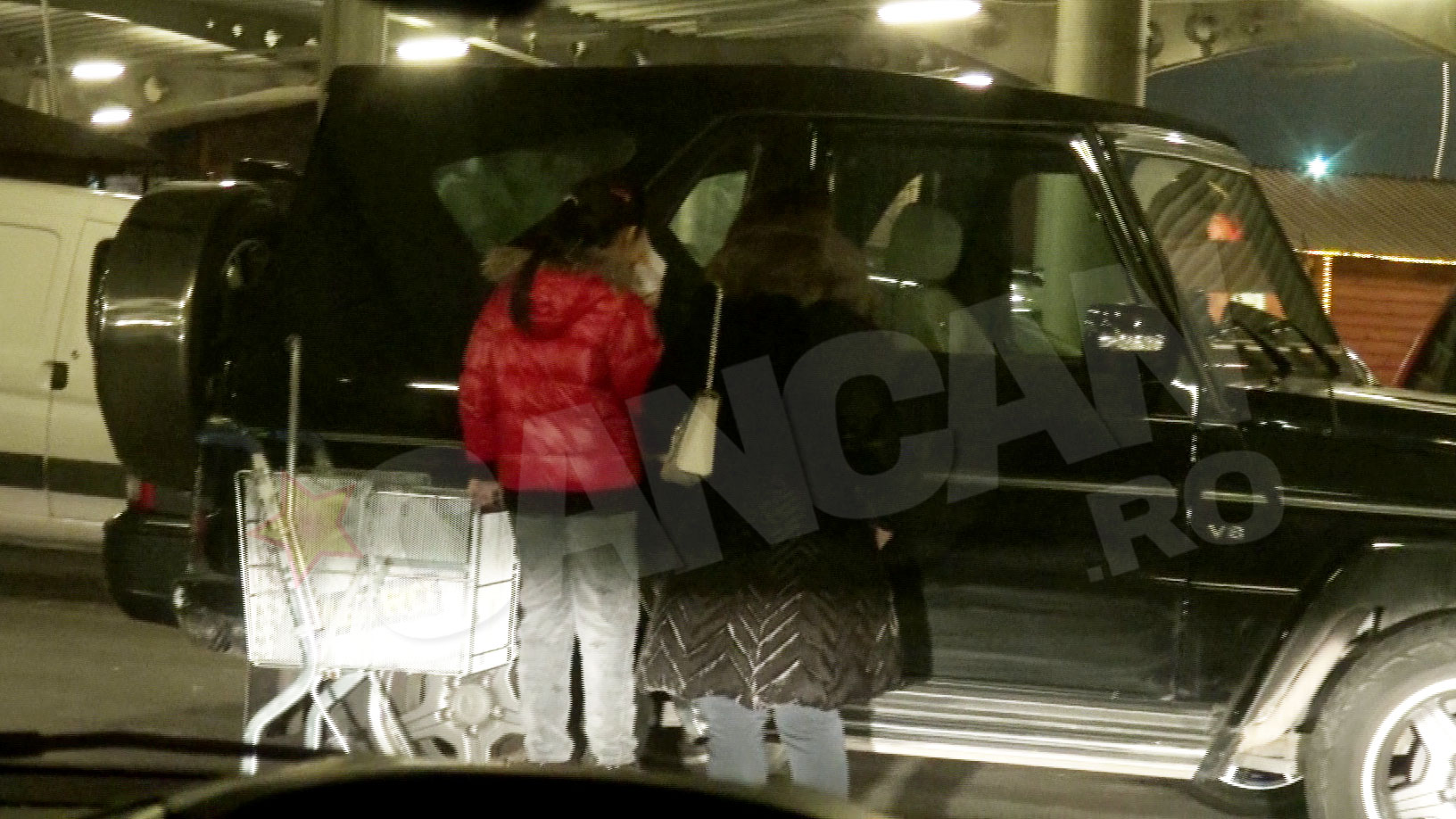 sotie dan diaconescu