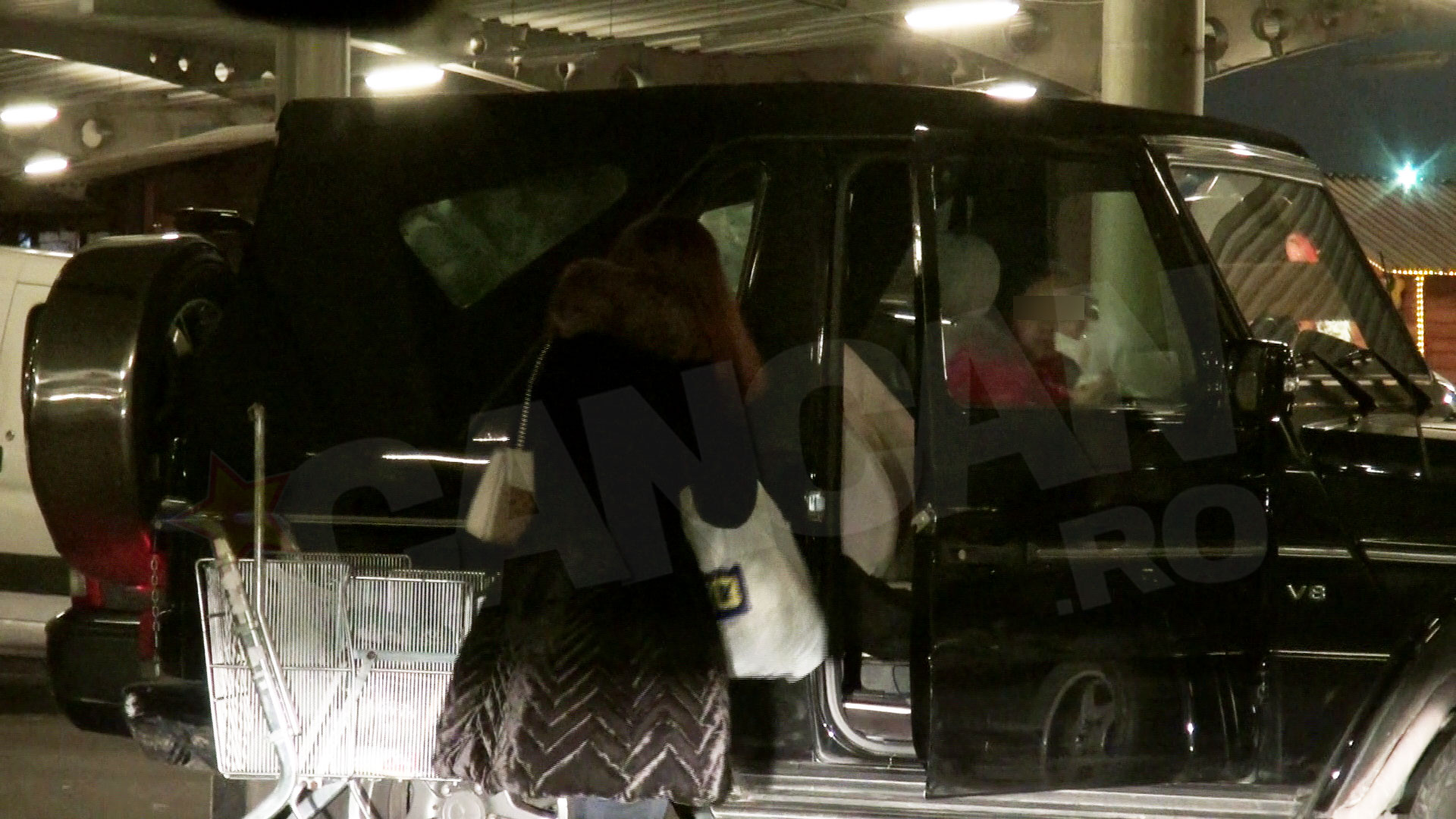 sotie dan diaconescu