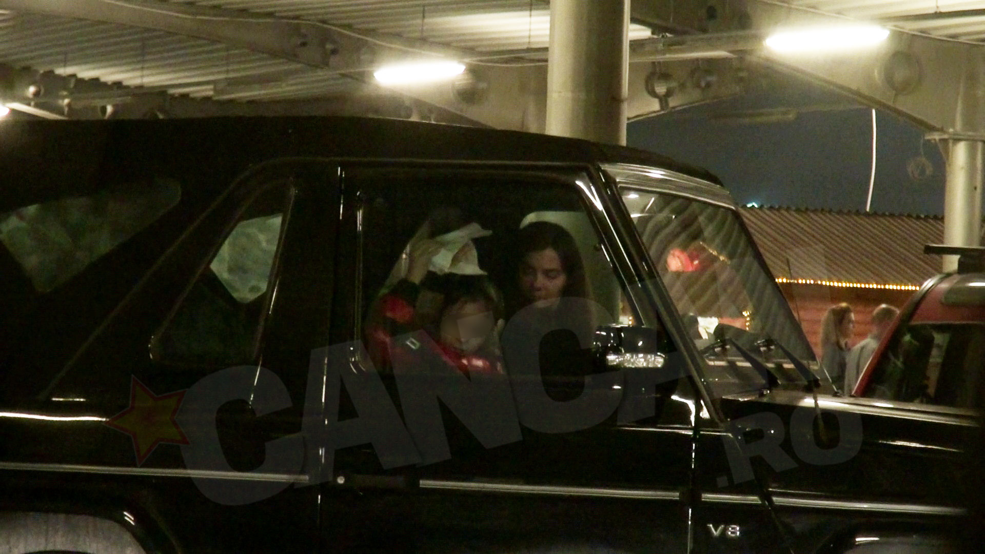 sotie dan diaconescu