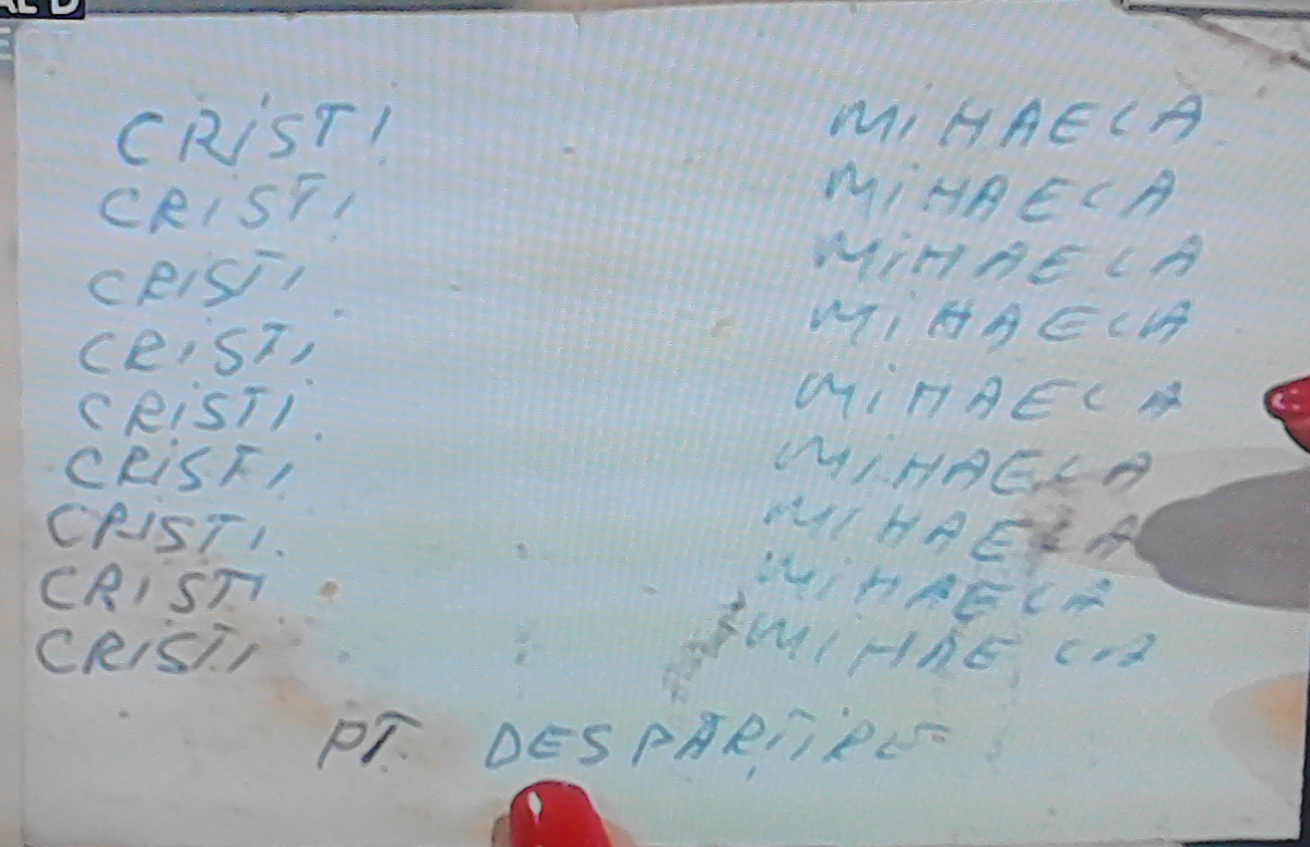 vrajitoare alina vidican