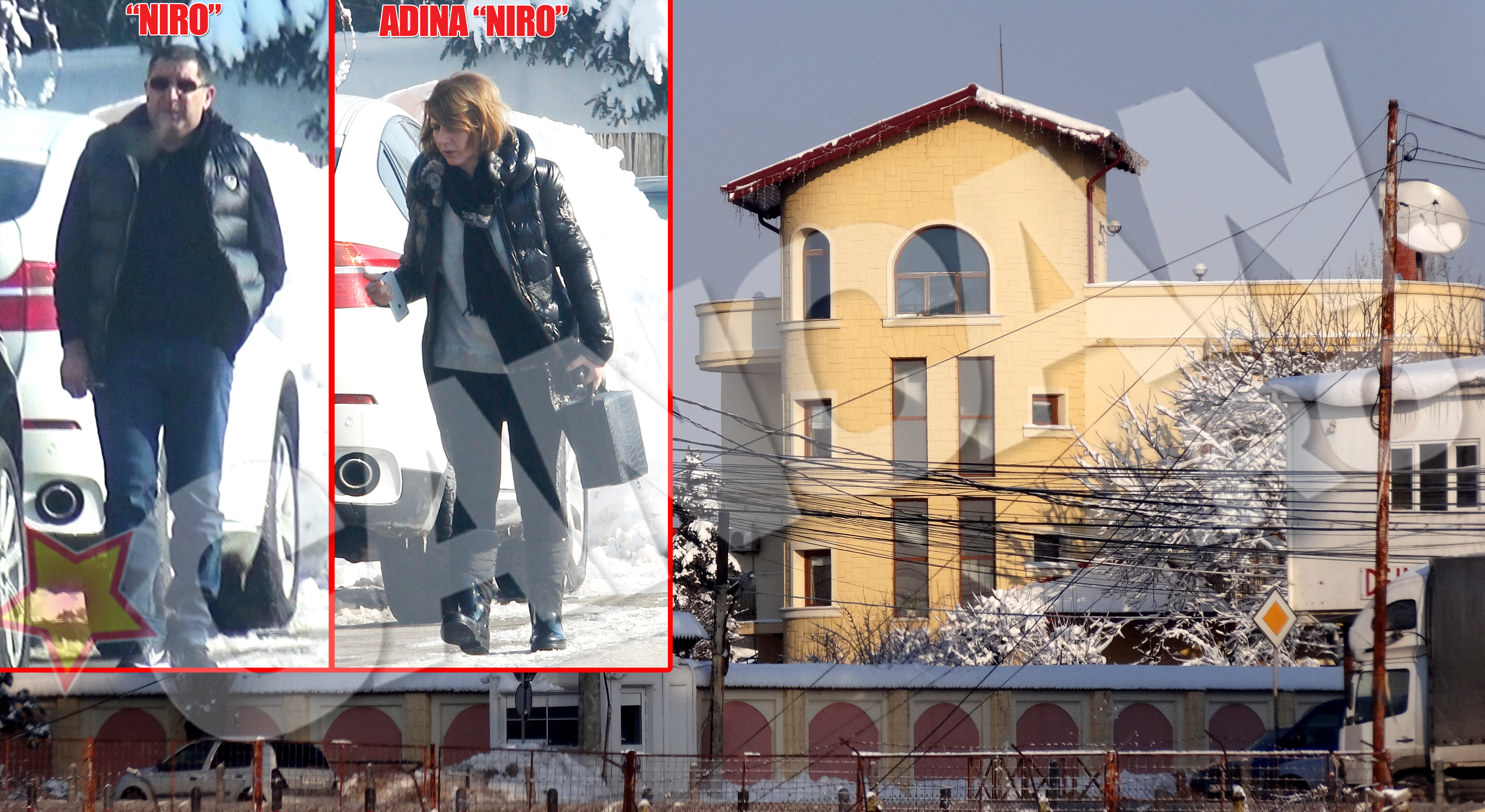 Nevasta şi vila din Corbeanca (adică familia şi casa) au devenit două prorpietă... PARDON!, priorităţi pentru Niro, de când a trecut la cele sfinte