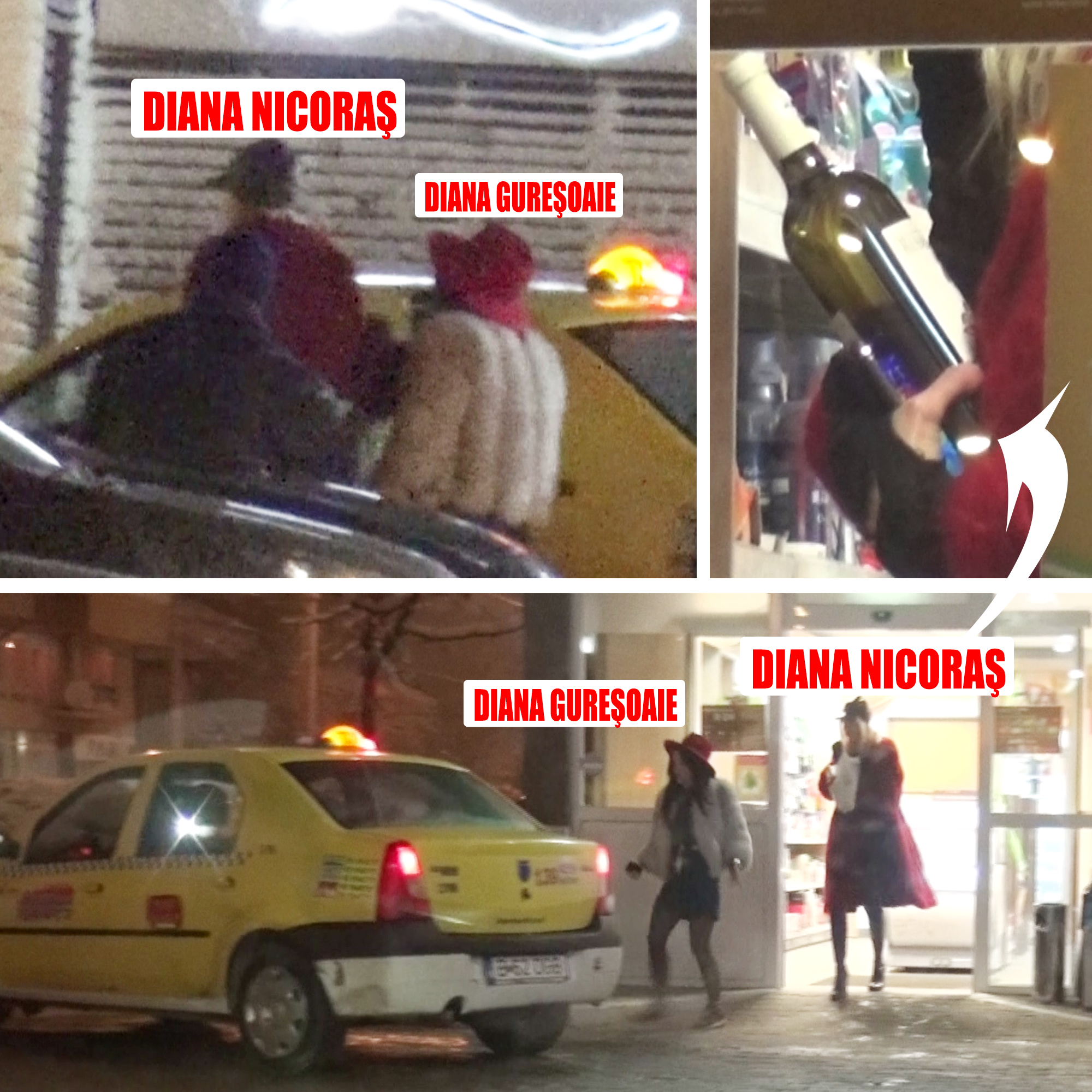 Gureşoaie şi Nicoraş au împărţit un taxi. Doar Nicoraş şi-a luat vin pentru acasă, pentru că pe Gureşoaie probabil o aştepta ”Bi” cu şampanie şi caviar