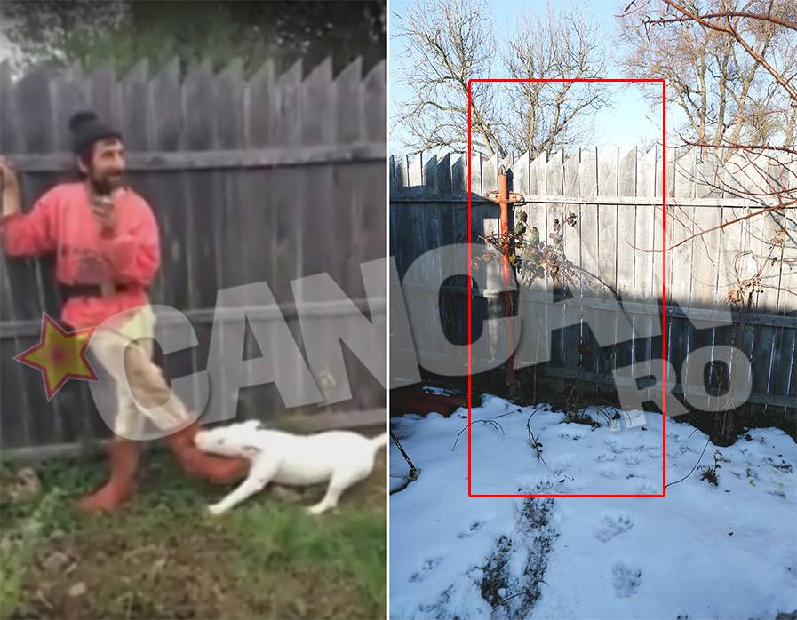 Cristi s-a reintors la locul faptei