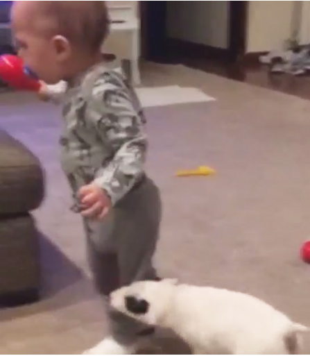 Ahile se joaca cu Dominic