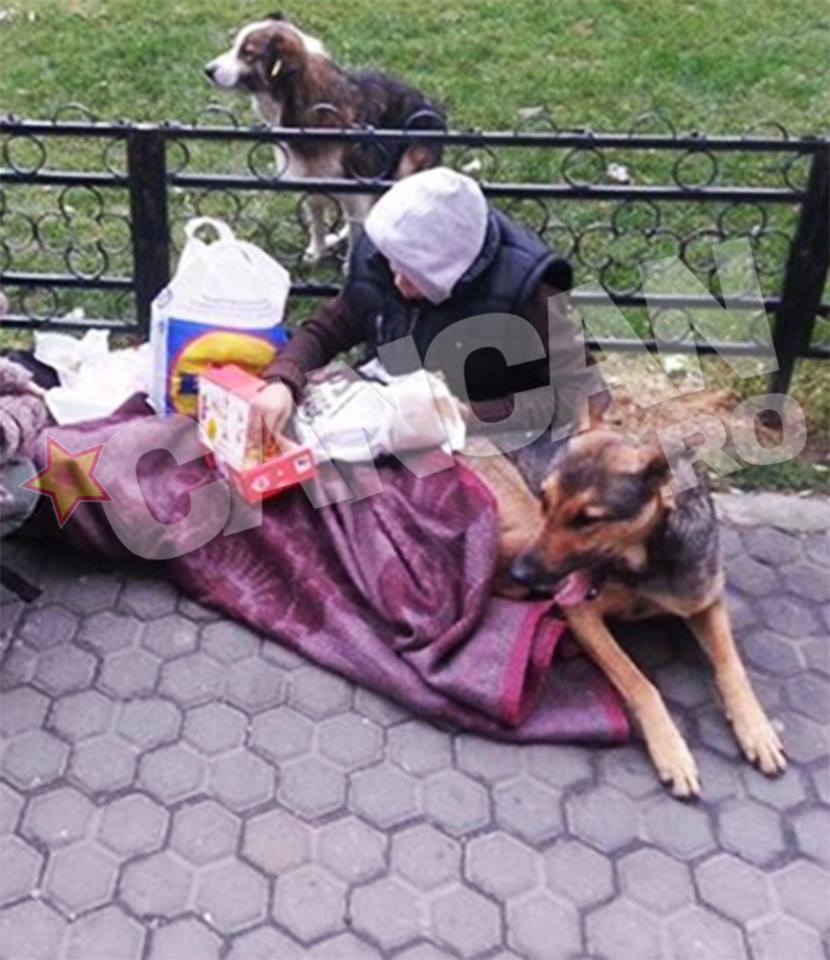 Tanarul s-a intors in strada