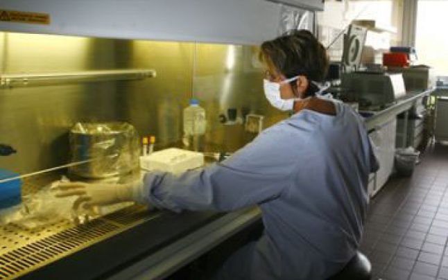 Gripa porcina poate cauza decesul