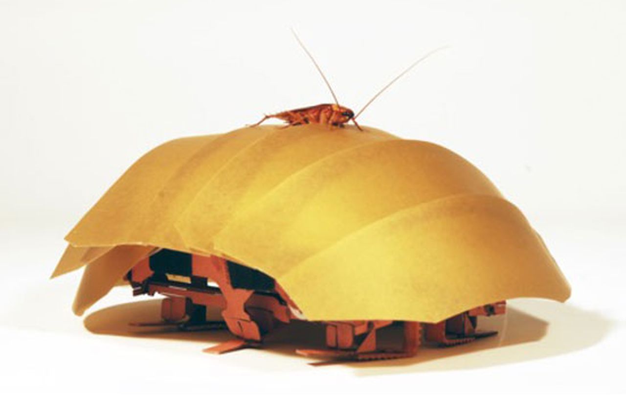 Robo-gandacul ar putea salva mii de vieti, daca oamenii de stiinta reusesc sa reproduca cu precizie trasaturile gandacilor adevarati.