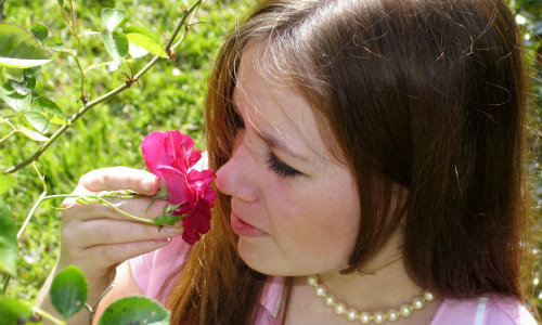 Lipsa mirosului e determinata de o anomalie functionala care se dovedeste fatala