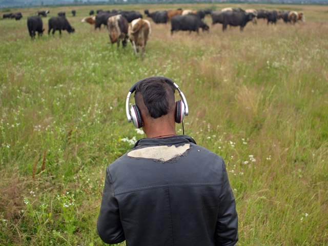 Fotografiile lui Remus se concentreaza pe anumite teme