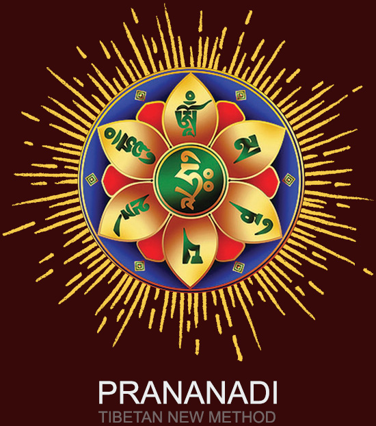 Prananadi presupune anumite tehnici de vindecare