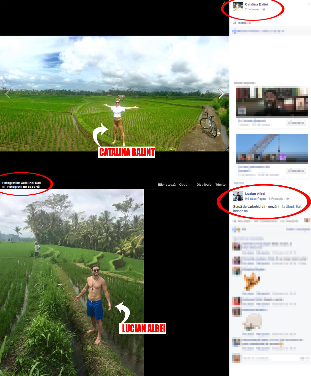 La începutul lunii februarie, Cătălina şi Lucian au postat separat, pe conturile lor de Facebook, fotografii similare dintr-o orezărie din Bali