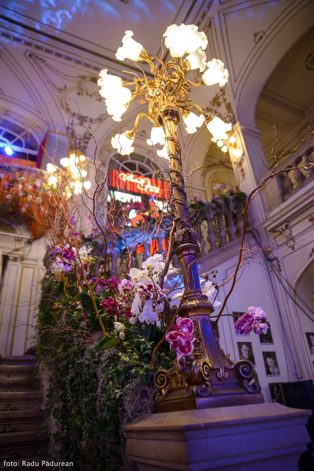Orhideele albe, lila şi mov au împodobit Opera din Cluj în seara evenimentului.