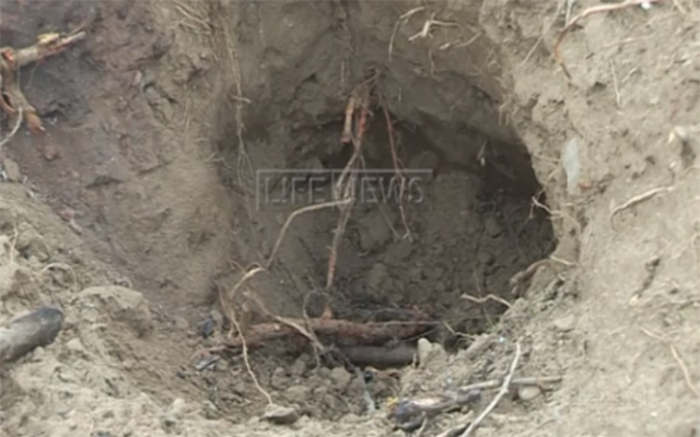 O femeie a ucis 80 de şerpi